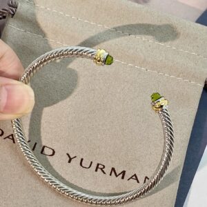 Jewelry Style dy 0308