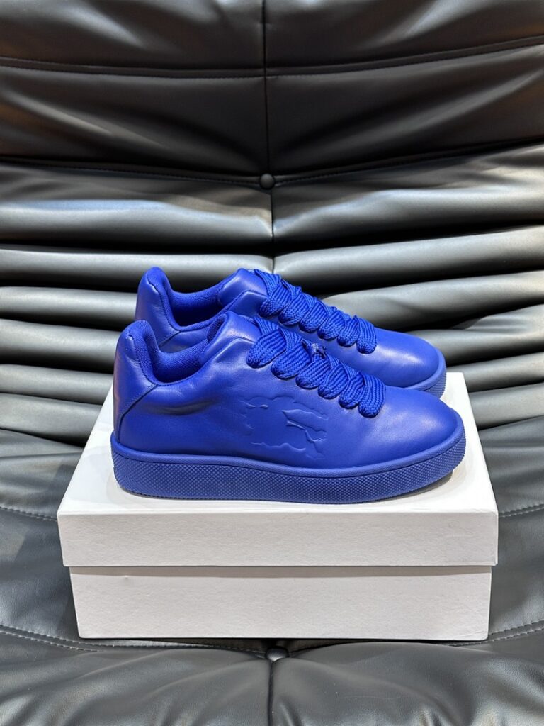 Balenciaga Shoe Style 2401126