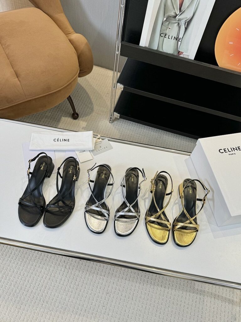 Celine Shoe Style 2901170