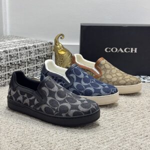 Coach Shoe Style 2101127