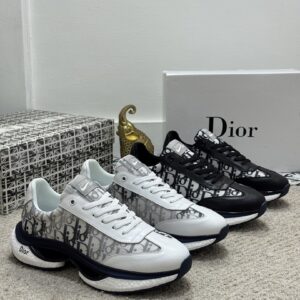 Dior Shoe Style 2401127