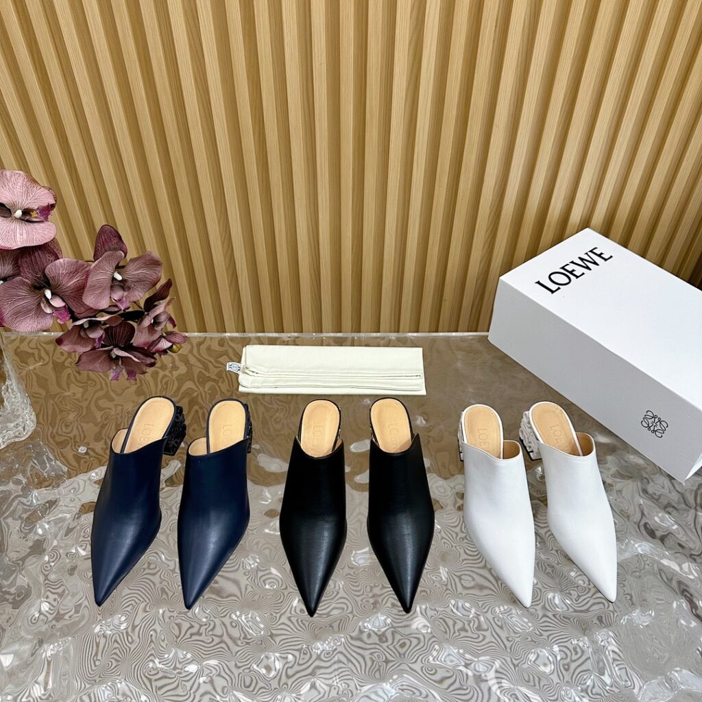 Loewe Shoe Style 3101197