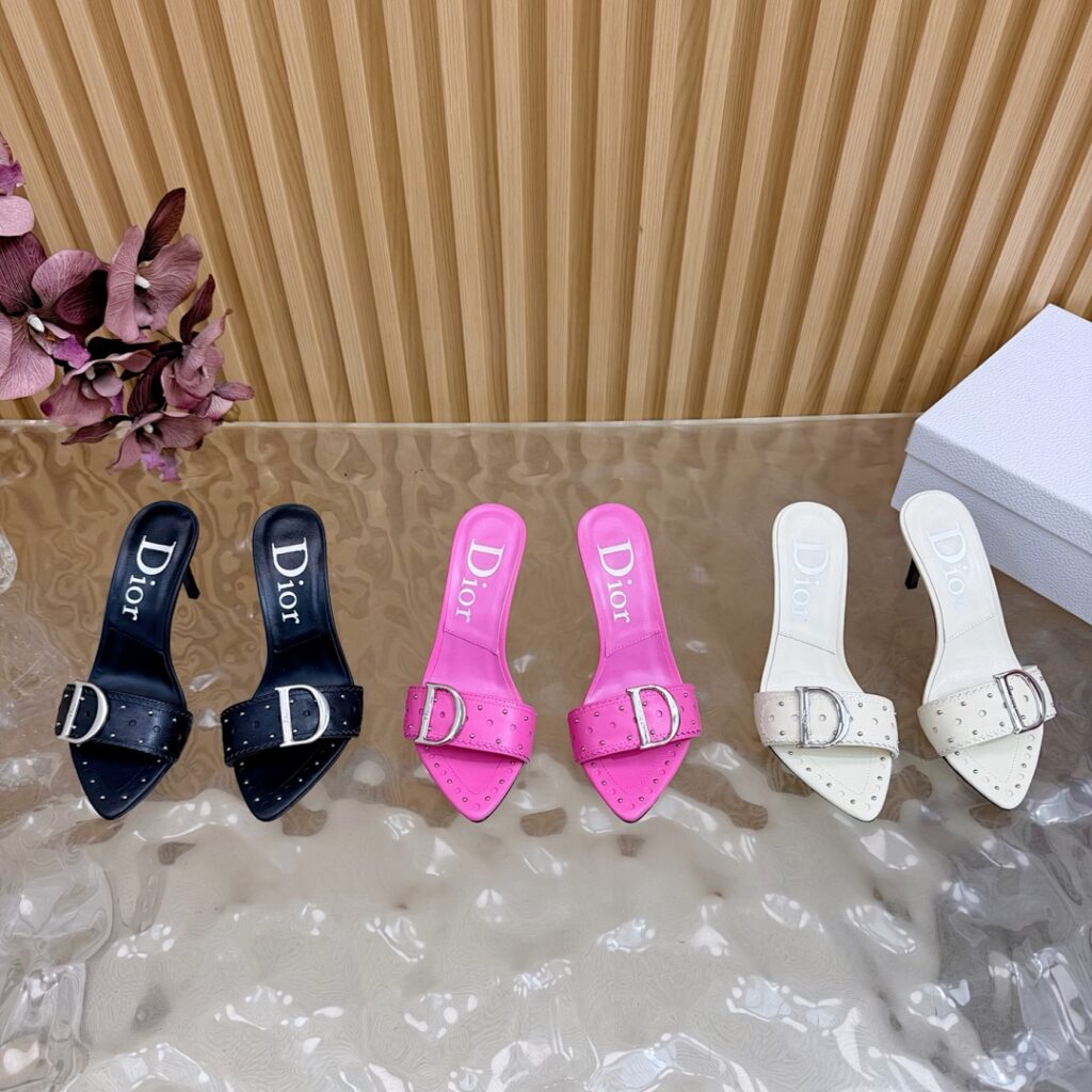 Dior Shoe Style 3101197