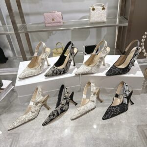 Dior Shoe Style 3101159