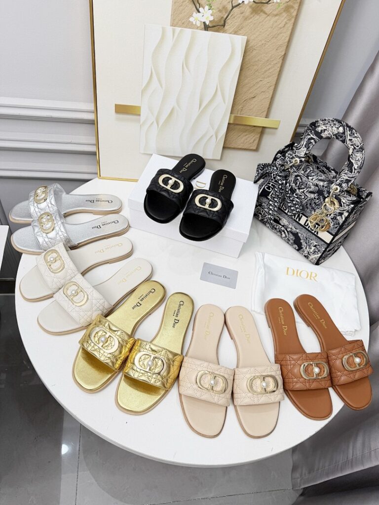 Dior Shoe Style 2401195