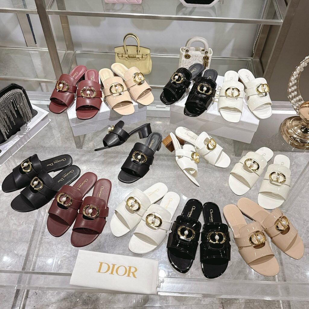 Dior Shoe Style 2401159