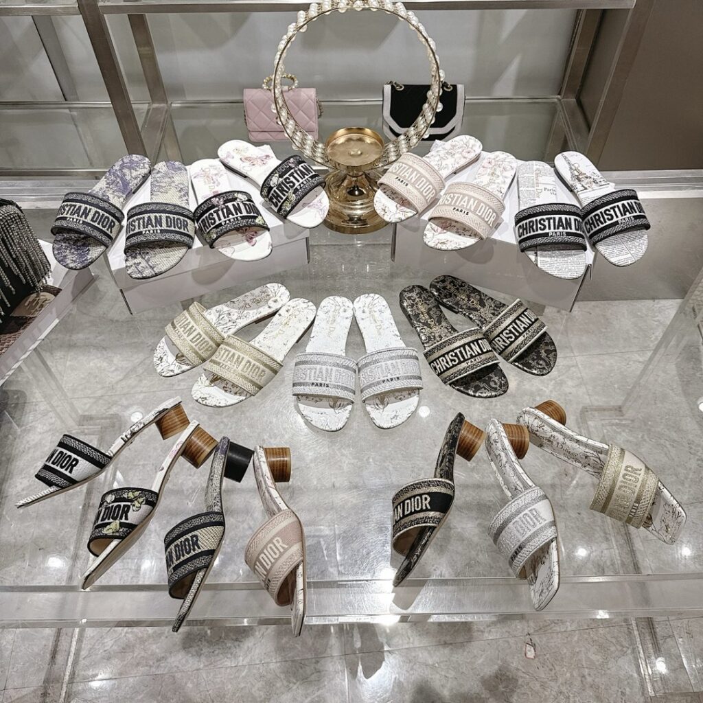 Dior Shoe Style 2401159
