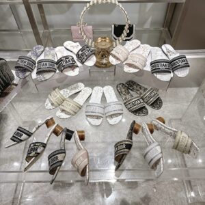 Dior Shoe Style 2401159