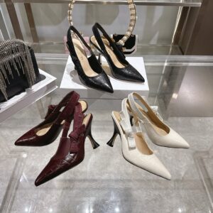 Dior Shoe Style 3001159