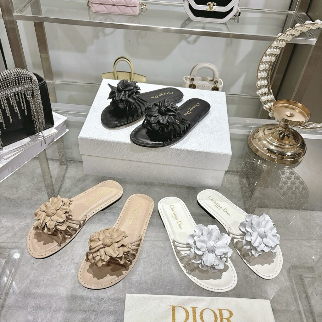 Dior Shoe Style 2401159