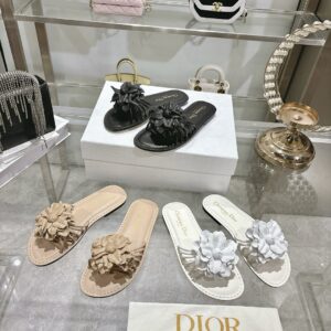 Dior Shoe Style 2401159