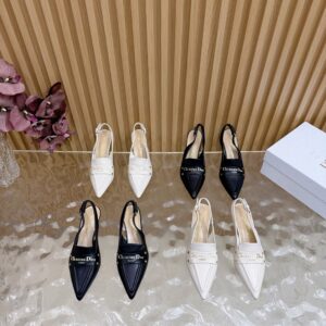 Dior Shoe Style 3001197