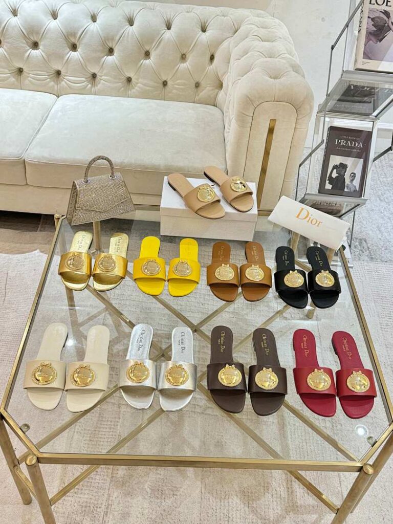Dior Shoe Style 1701117