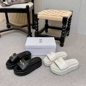 Dior Shoe Style 2402112