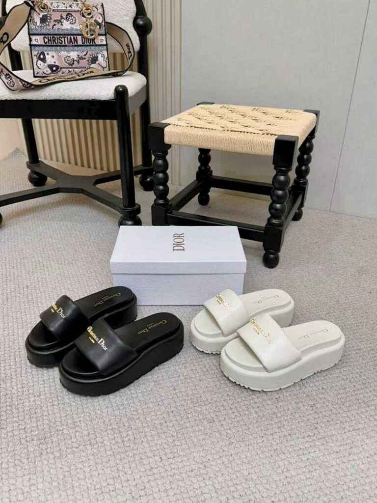 Dior Shoe Style 2402112