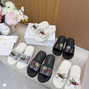 Dior Shoe Style 2401150