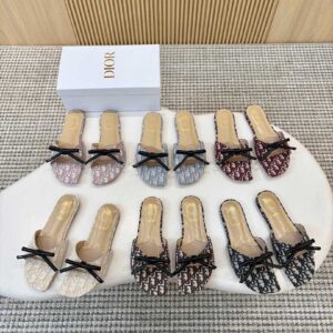 Dior Shoe Style 1701117