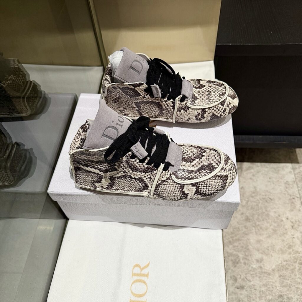 Dior Shoe Style 3302649