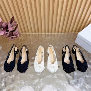 Dior Shoe Style 3201197