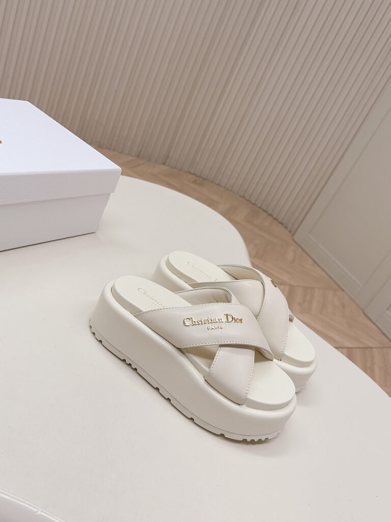 Dior Shoe Style 2511150