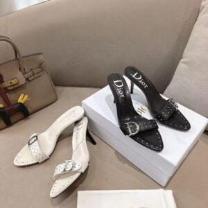 Dior Shoe Style 3101176