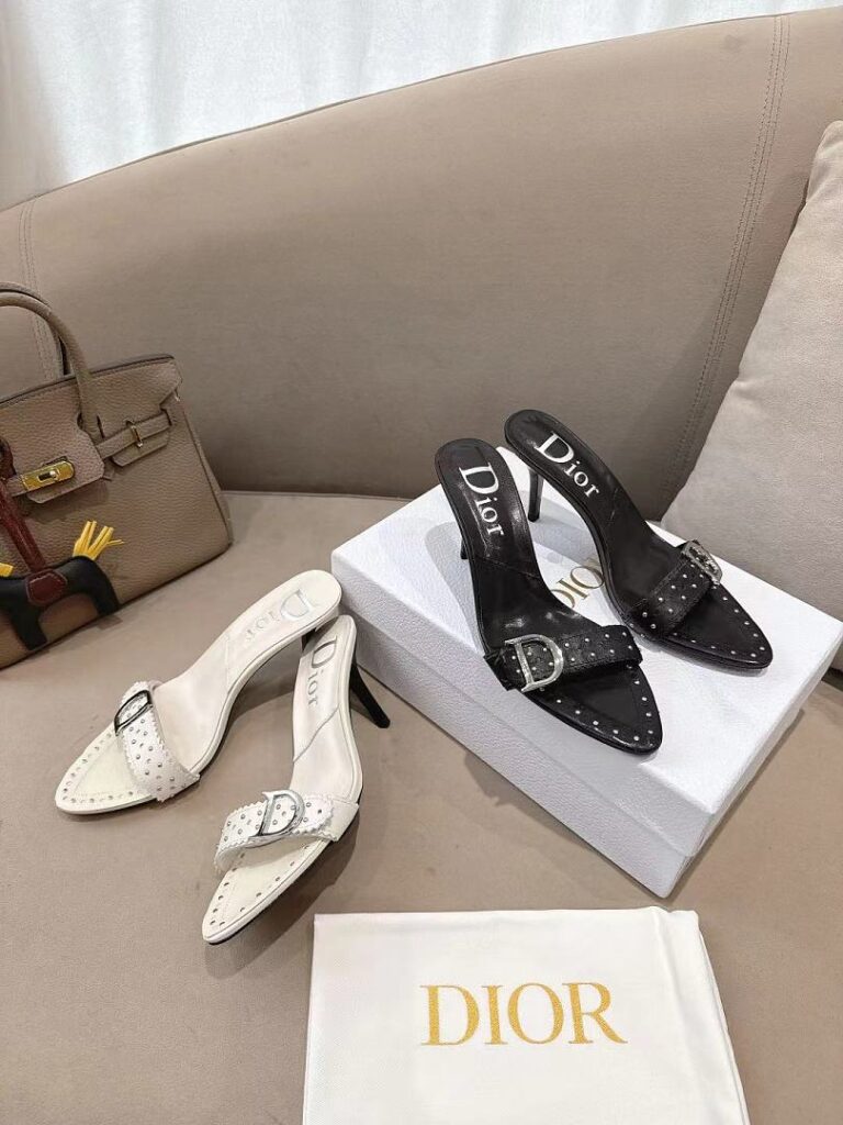 Dior Shoe Style 3101176