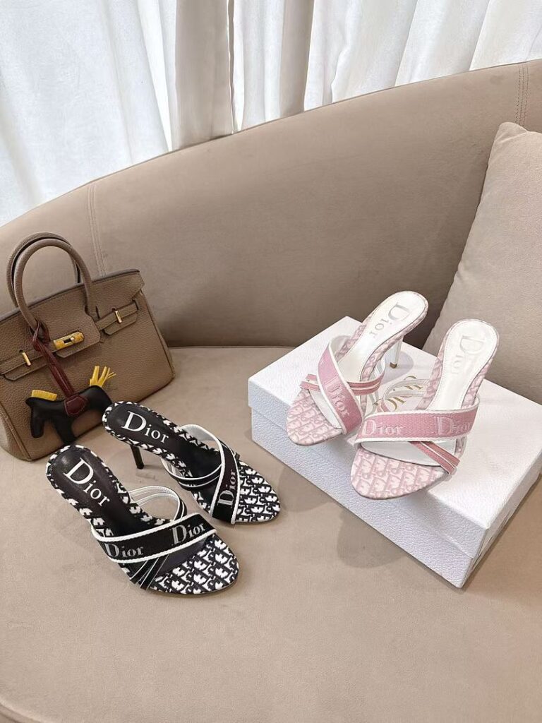 Dior Shoe Style 3101176