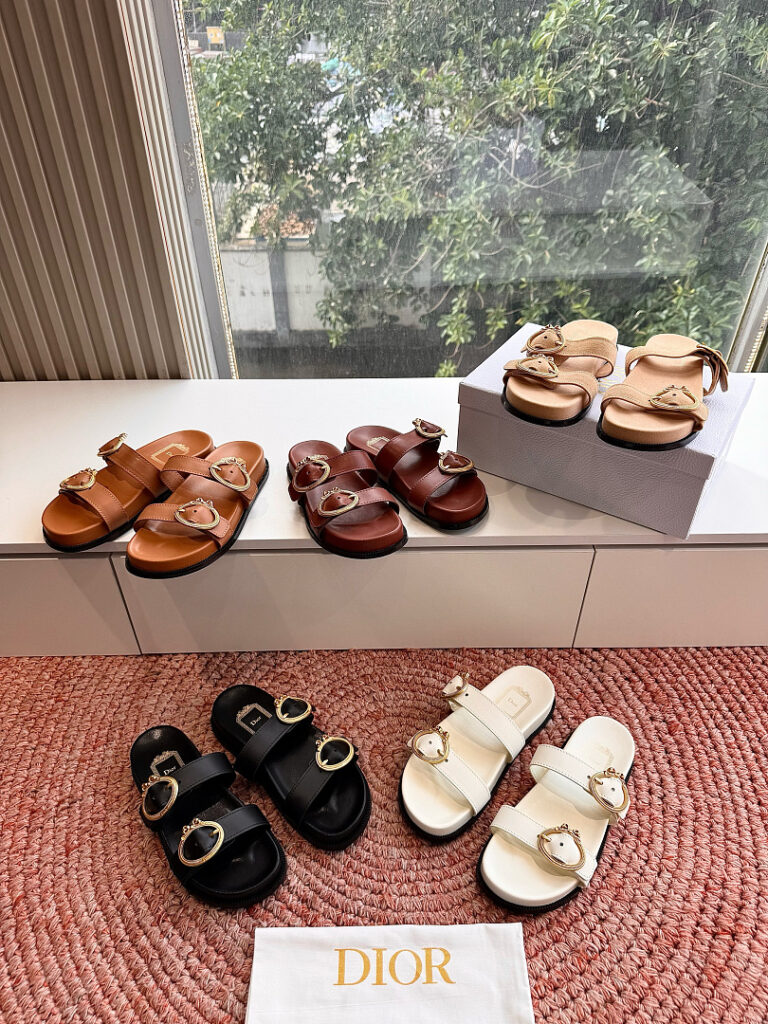 Dior Shoe Style 2602112