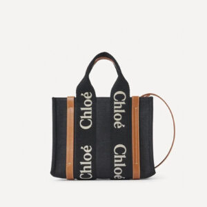 Chloe Bag Style 0123