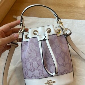 Coach Bag Style CBS67