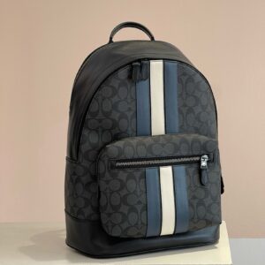 Coach Bag Style 210105902