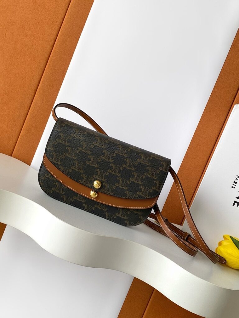 Celine Bag Style 10P673