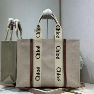 Chloe Bag Style 6691
