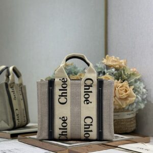 Chloe Bag Style 6689