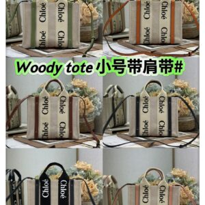 Chloe Bag Style 7576