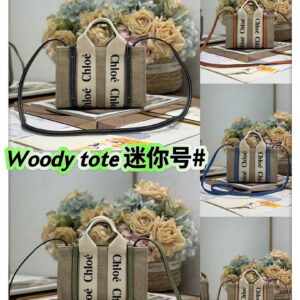 Chloe Bag Style 2690