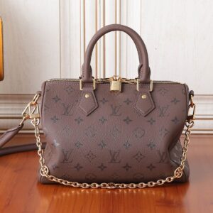 Louis Vuitton Bag Style M26691