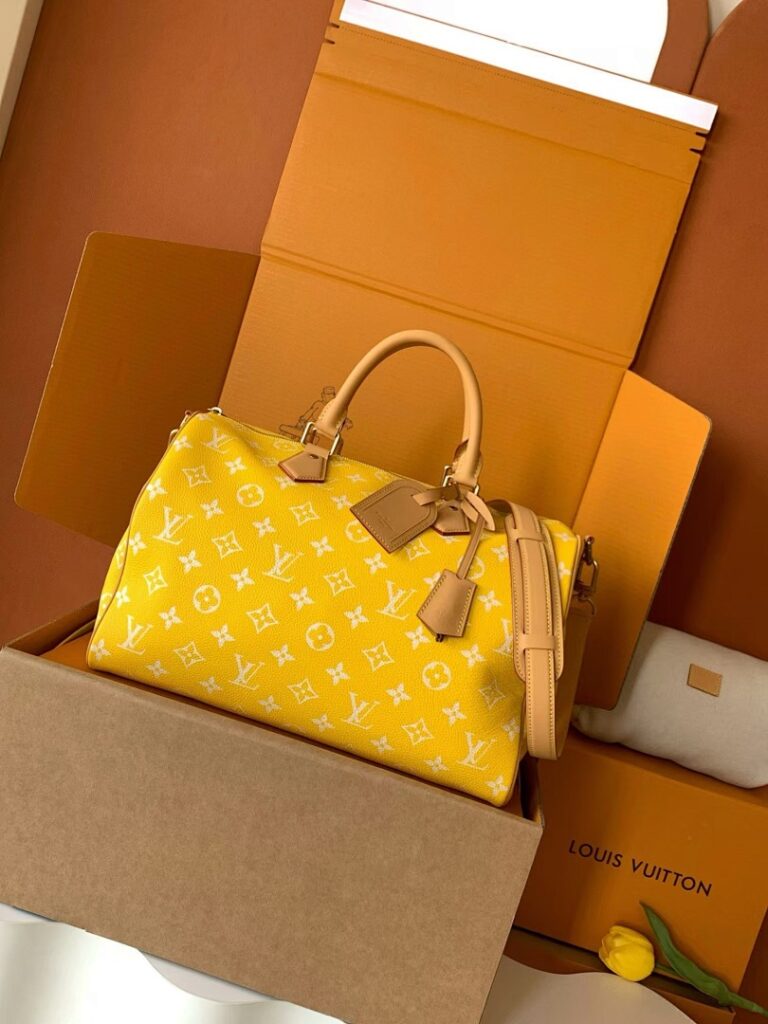 Louis Vuitton Bag Style M24419