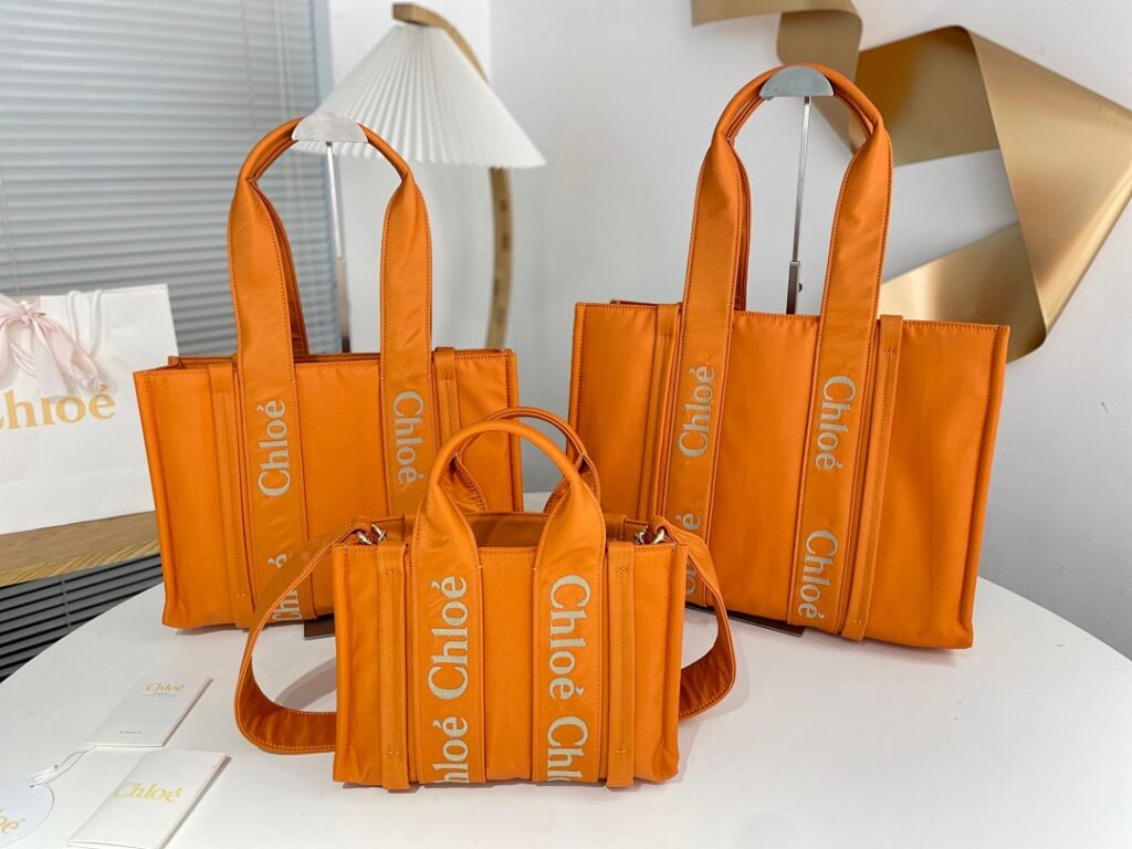 Chloe Bag Style ws383