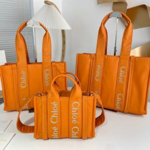 Chloe Bag Style ws383