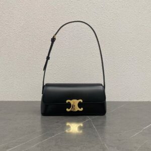 Celine Bag Style 120553