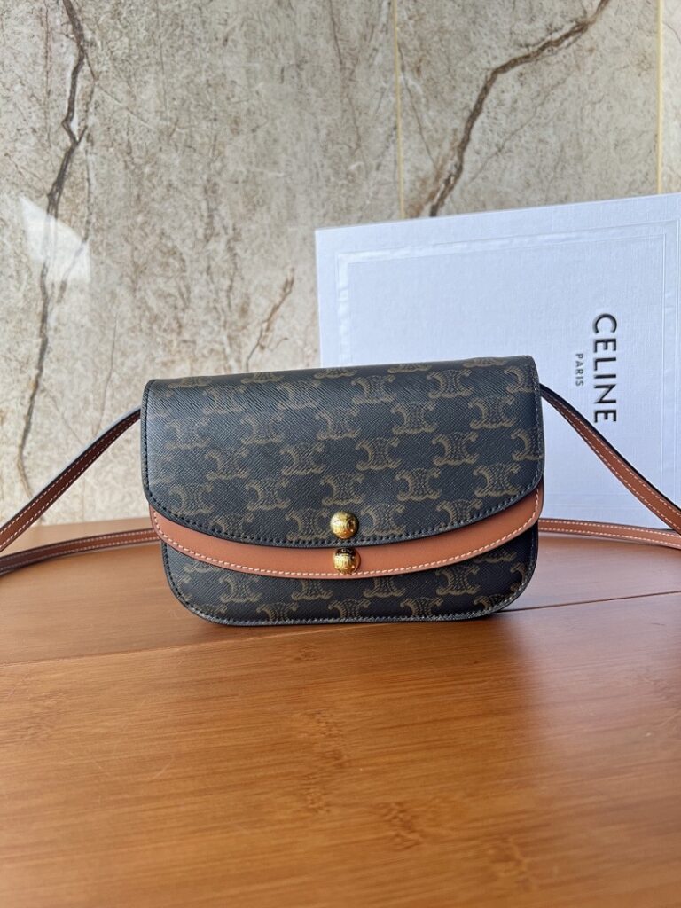 Celine Bag Style 10P672