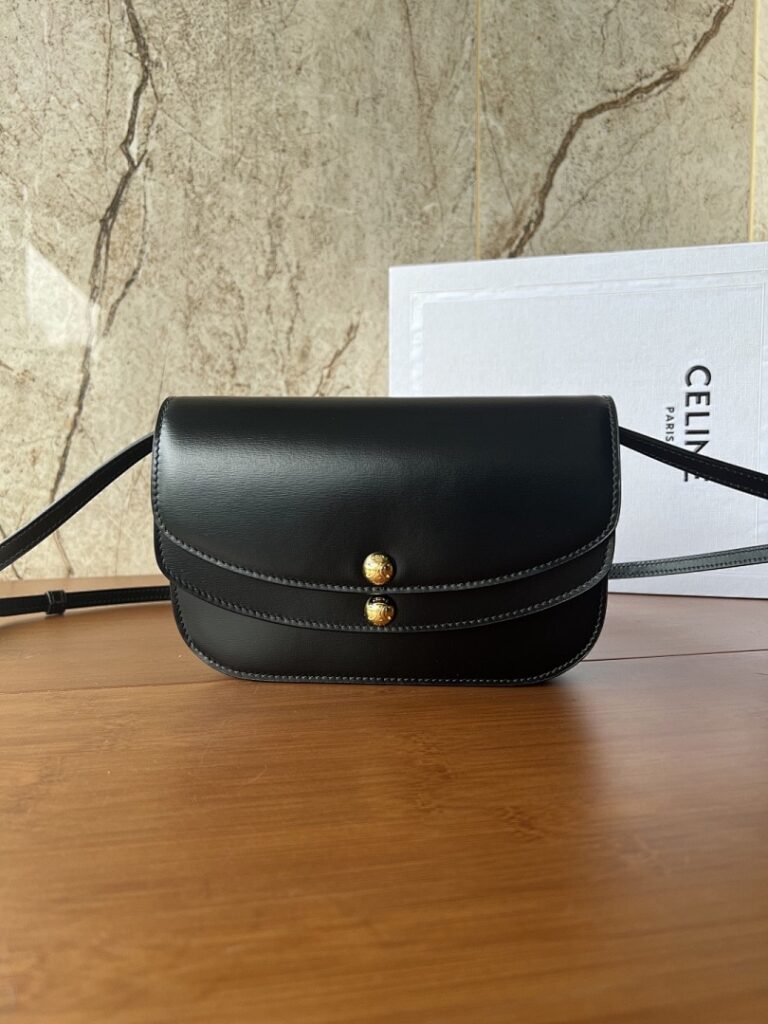 Celine Bag Style 10P672