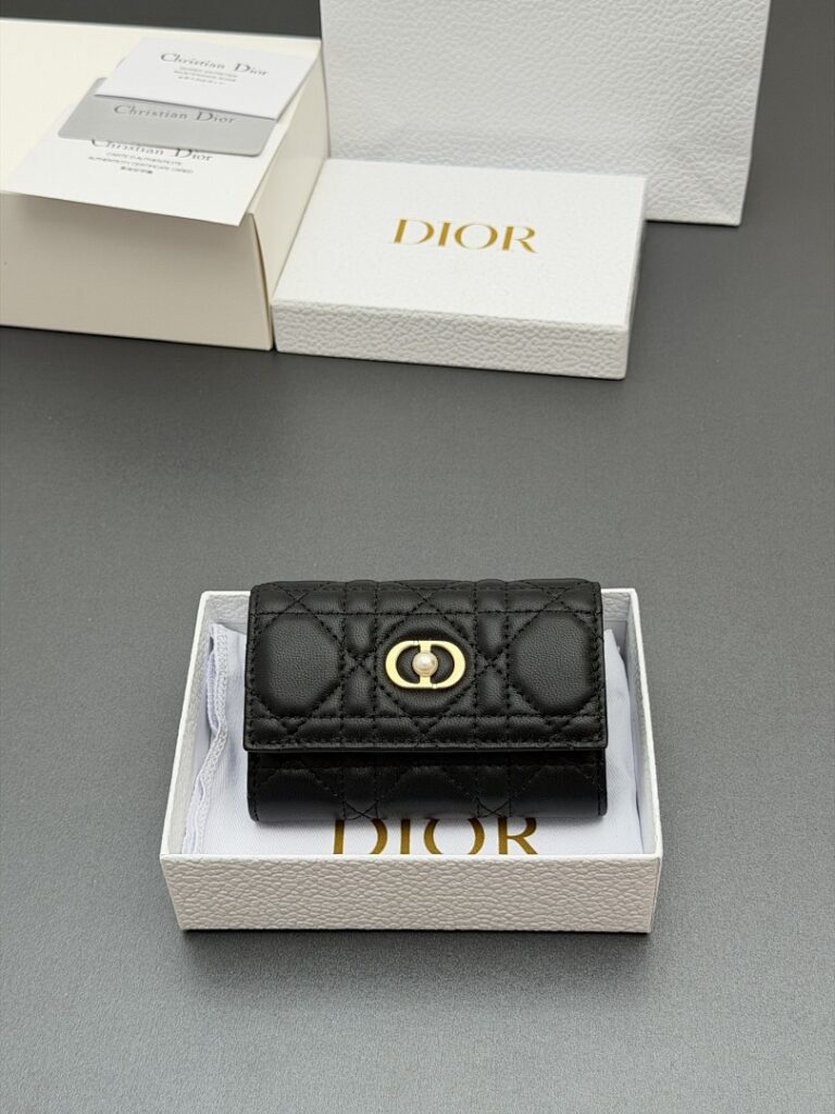 Dior Bag Style S3102