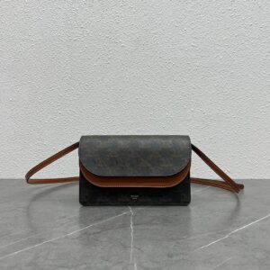 Celine Bag Style 100852