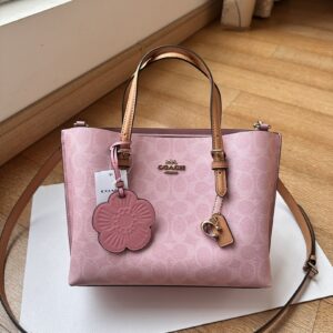 Coach Bag Style CER24
