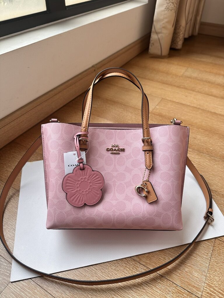 Coach Bag Style CER24