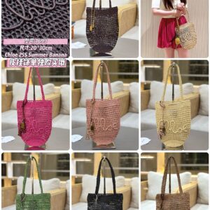 Chloe Bag Style 1699