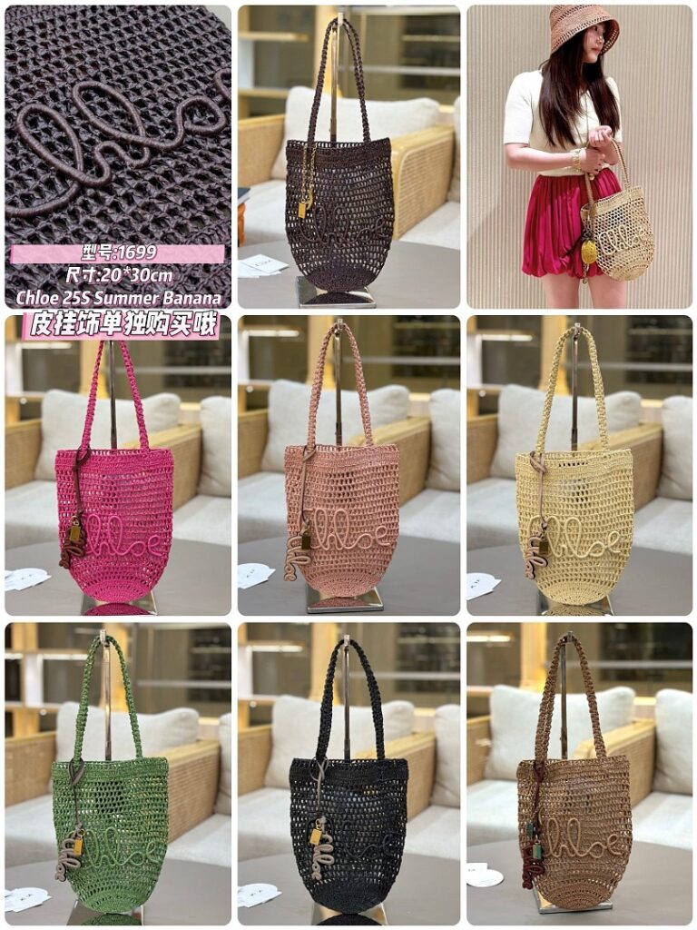 Chloe Bag Style 1699