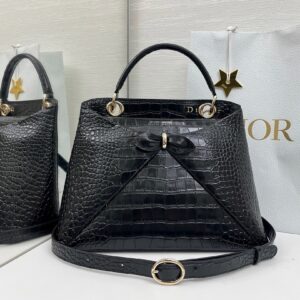 Dior Bag Style 238679261